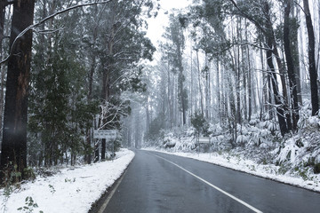Snow on Trees and Roads in Mountains