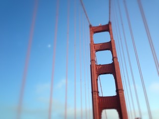 golden gate