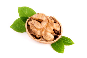 Walnut with leaf isolated on white background