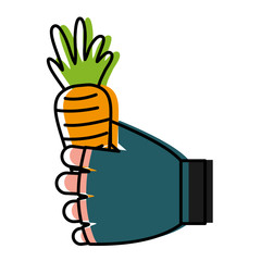 hand holding a carrot vegetable icon over white background vector illustration