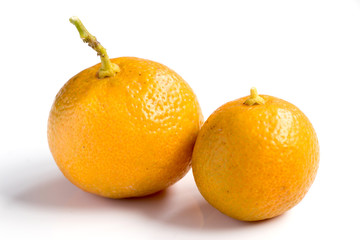 Orange color of Kumquat on white background