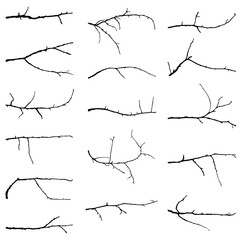 Set of twigs on a white background