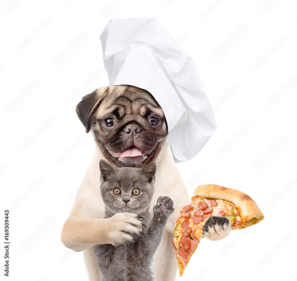 Poster funny kitten and dog in chef's hat with pizza. isolated on white background