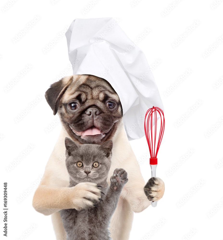 Poster funny kitten and dog in chef's hat holds wire whisk. isolated on white background