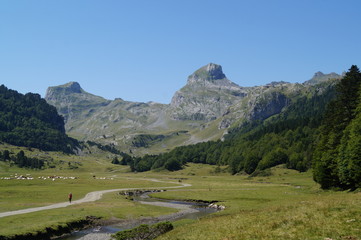 Fototapeta na wymiar Pyrénées, lac, vaches, animaux, pics, montagne, Ossau, Gabas