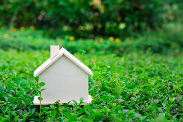 small wooden home no body on green yard and fresh background use for graphic resource