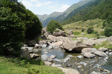 Gaves, Pyr&eacute;n&eacute;es, lac, vaches, animaux, pics, montagne, Ossau, Gabas