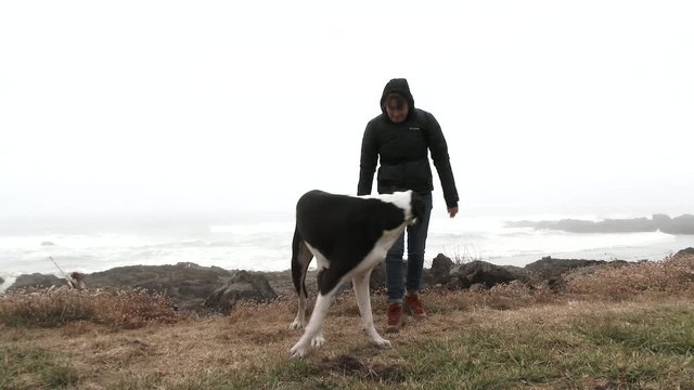 Model released woman plays with a great dane at the Oregon Coast.