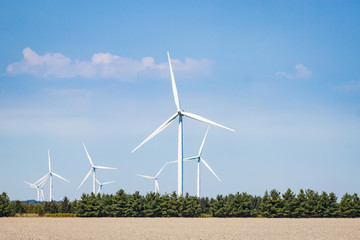 Collection of White Wind Turbines Against a Blue Sky