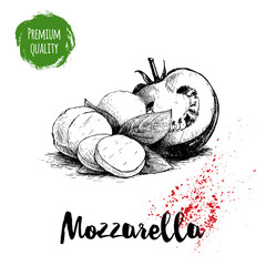 Hand drawn sketch style mozzarella cheese with basil leafs and half of tomato. Caprese salad ingredients. Vector organic food illustration poster. Quality italian product.
