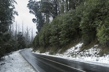 Fototapeta premium Snow on Trees and Roads in Mountains