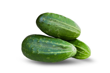 Three round fresh green cucumber isolated on white background