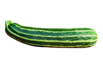 Fresh green striped zucchini or courgette, isolated on white background