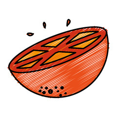 half orange citrus fruit icon vector illustration design