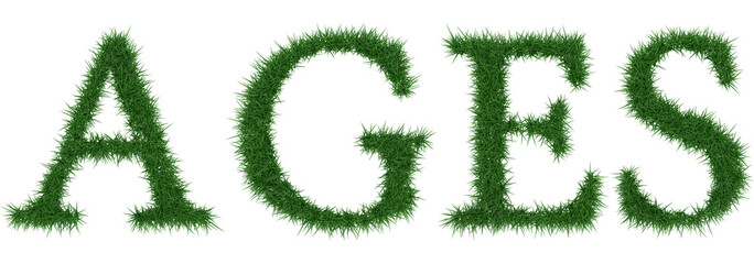 Ages - 3D rendering fresh Grass letters isolated on whhite background.