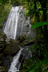Waterfall La Coca Falls in the El Yunque national forest in Puerto Rico