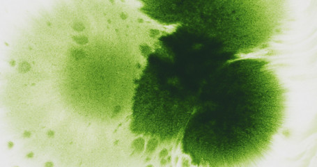 water spray green ink on wet paper top view