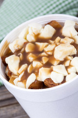 Poutine quebec meal closeup