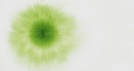 green ink drop on wet white paper top view