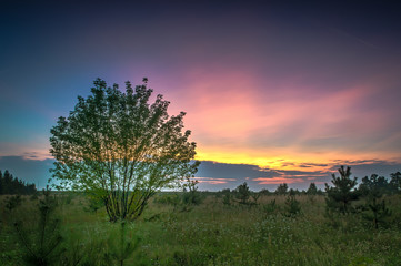 Fototapeta premium Zachód słońca w letni wieczór