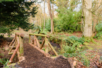 Fototapeta premium Wooden bridge over a small stream in a forest.