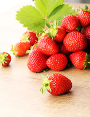 freshly harvested strawberries - healthy lifestyle fruit concept