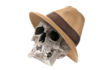 Fototapeta premium Adventure concept. Human skull with fedora hat isolated on white.