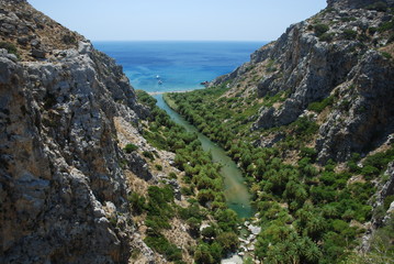 Fototapeta na wymiar Palmeraie de la Sweet water beach Crète Grèce