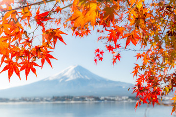 Mt. Fuji in autumn