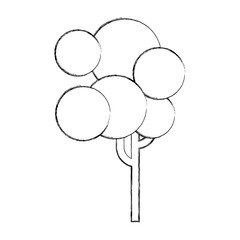 tree icon over white background vector illustration