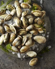 Rolgordijnen Fresh clams and ice on a platter © clfortin