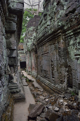 Fototapeta na wymiar Cambodia Angkor Thom