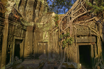 Fototapeta na wymiar Cambodia Angkor Thom Ta Phrom 