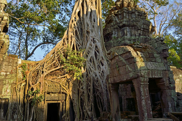 Cambodia Angkor Thom Ta Phrom 