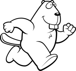 Beaver Running