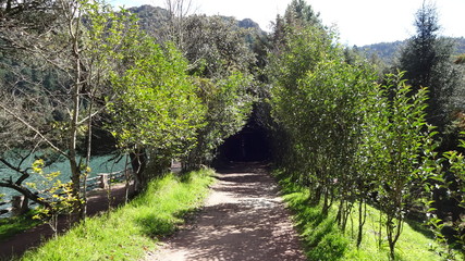 Camino al misterio