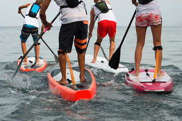 Stand up paddle group on the sea - obrazy, fototapety, plakaty
