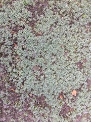 hintergrund strukturen serie002