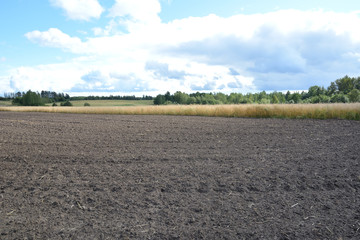 The plowed field next to a field of ripe rye