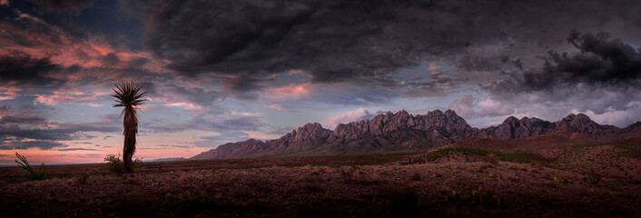 Organ Mountains Panorama, Purplish Clouds