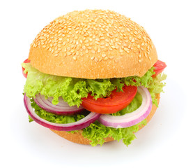 bbq hamburger with vegetables, spices isolated on white background