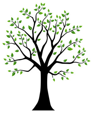 Tree with green leaves. Vector illustration