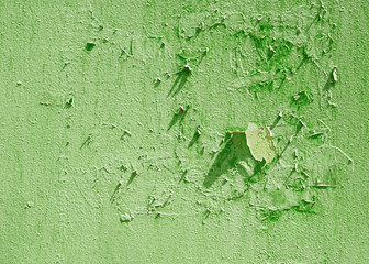 old green grunge wall texture background colored empty copy space