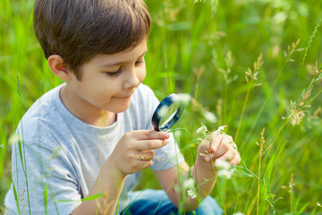 Young boy exploring nature in the meadow with a magnifying glass looking at flowers. Curious...