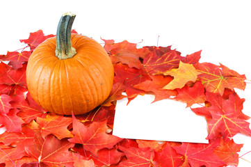 pumpkin and red maple tree leaves in autumn with white card