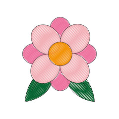 Fototapeta premium beautiful flower icon over white background vector illustration