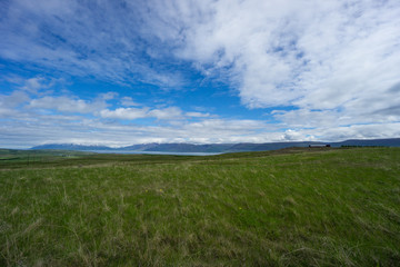 Obraz premium Iceland - Wide green open range with fjord before snowy mountains at blue sky