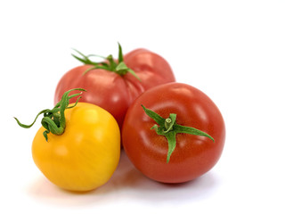 Tomaten, Solanum lycopersicum, Tomatoes