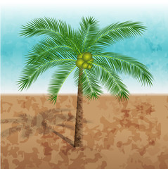 Vector illustration of a palm tree in the desert