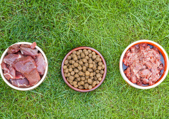 Verschiedene Sorten Hundefutter auf grüner Wiese